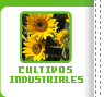 Cultivos Industriales