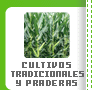 Cultivos Tradicionales y Praderas