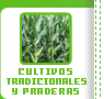 Cultivos Tradicionales y Praderas