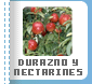 Durazno y Nectarines