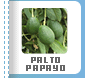 Palto - Papayo