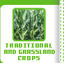 Traditional and Grassland Crops