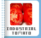 Industrial Tomato