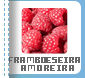 FRAMBOESEIRA – AMOREIRA
