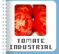 TOMATE INDUSTRIAL